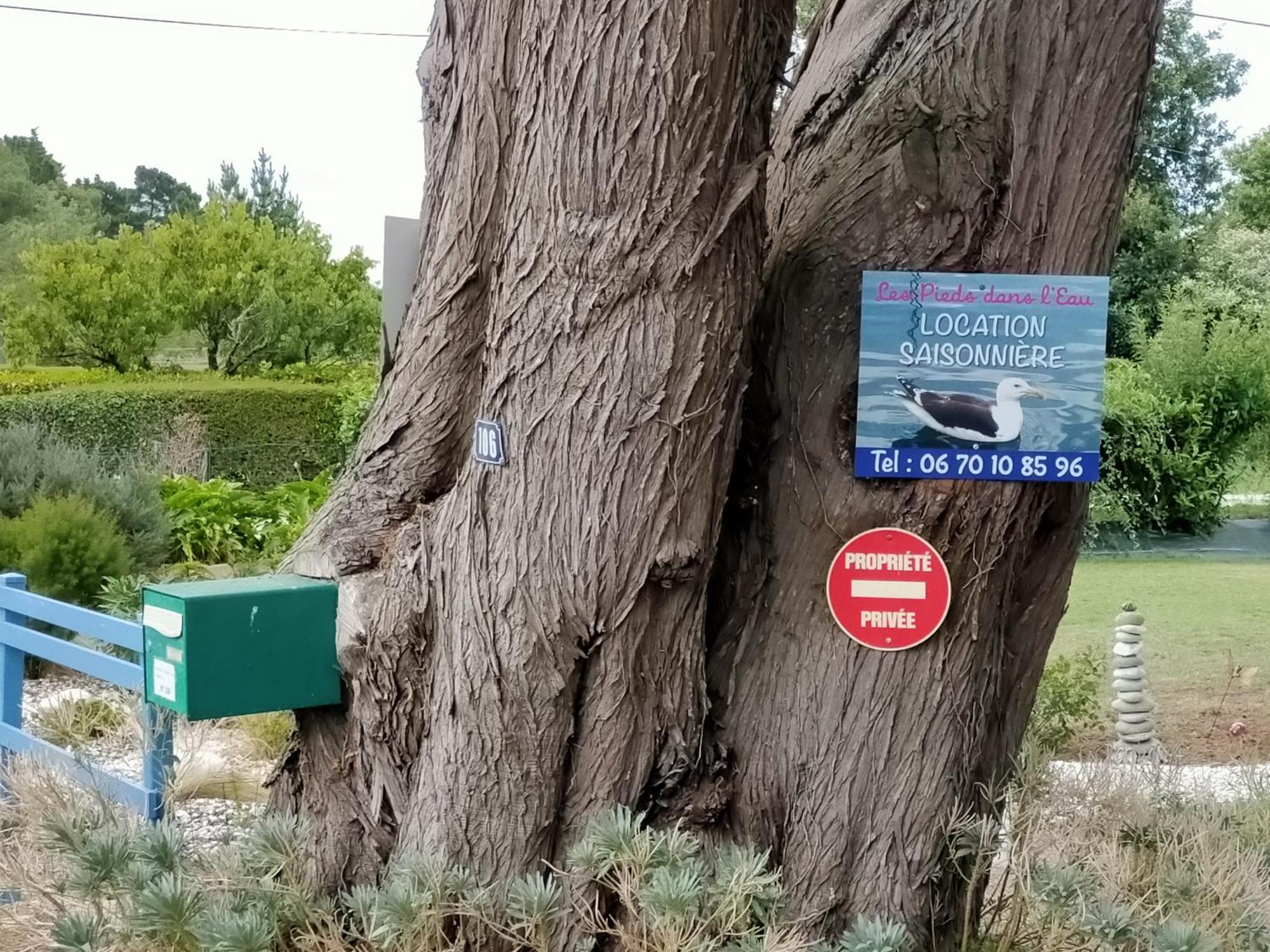 Au Calme, Les Pieds Dans L'Eau, 106 Route De La Pointe De Ruault 56370 Sarzeau Apartman Kültér fotó